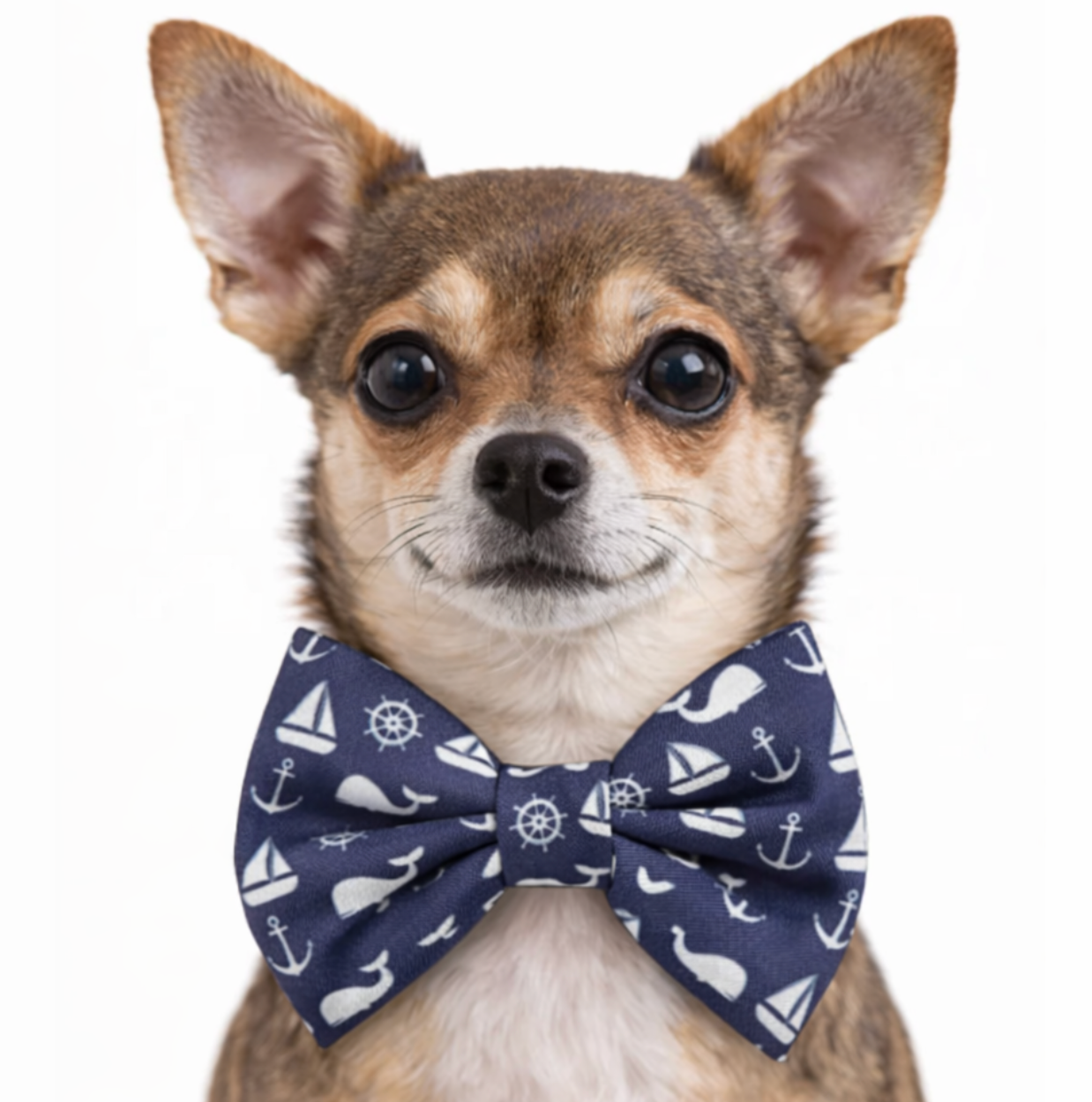 NAVY ANCHOR, WHALE & SAILBOATS- DAPPER DEXTER DOG BOW TIE