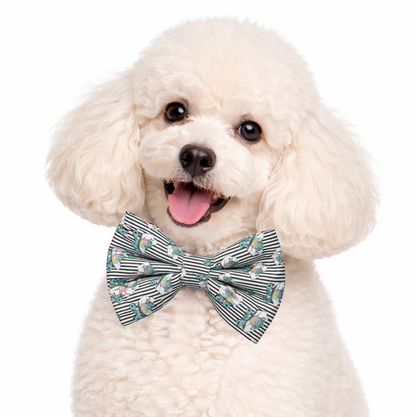 ROLLAR SKATES- DAPPER DEXTER DOG BOW TIE