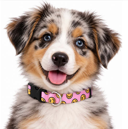 HAPPY AF (PINK) - EXTRA SMALL COLLAR