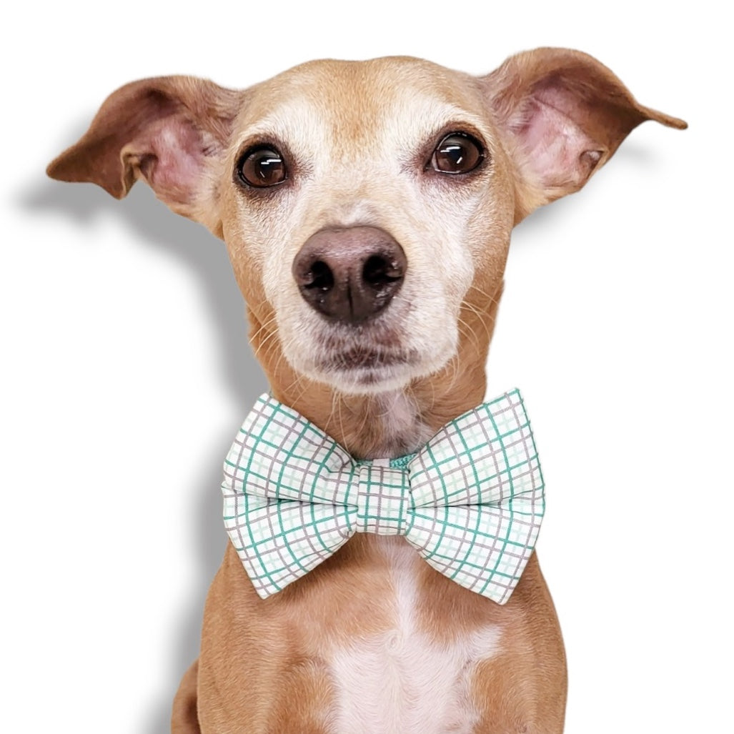 WHITE, GREEN & GRAY PLAID - DOG BOW TIE BY DAPPER DEXTER