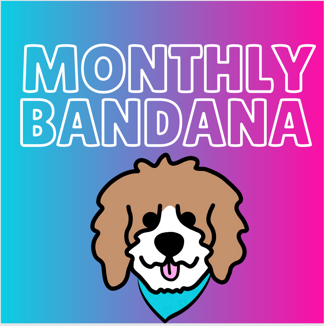BANDANA OF THE MONTH  - SUBSCRIPTION