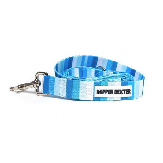 BLUE STRIPE DOG LEASH