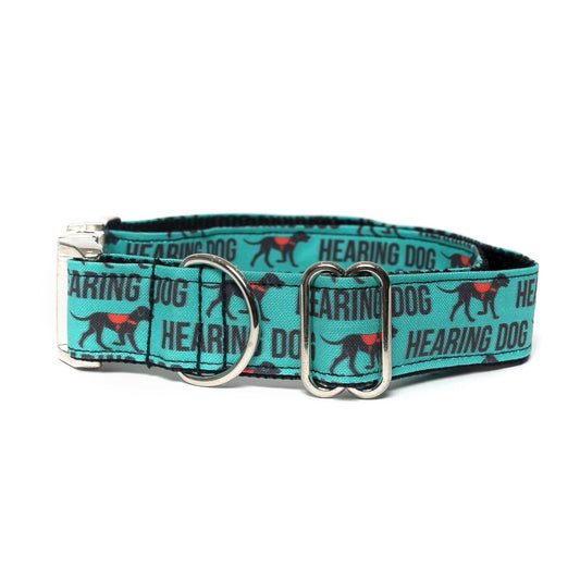 TEAL HEARING DOG IN TRAINING - DOG COLLAR