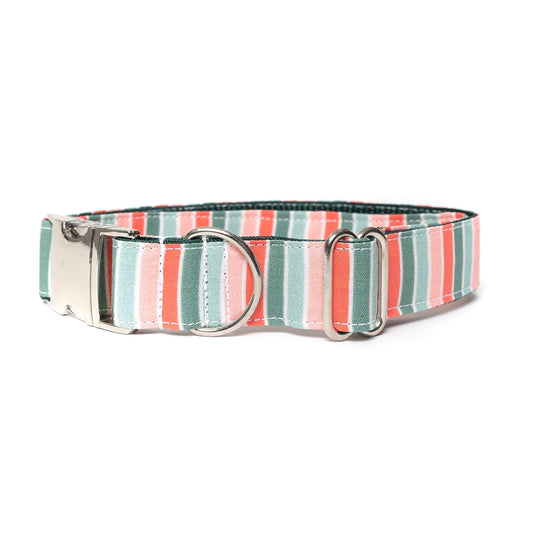 JOLLY STRIPES - DOG COLLAR