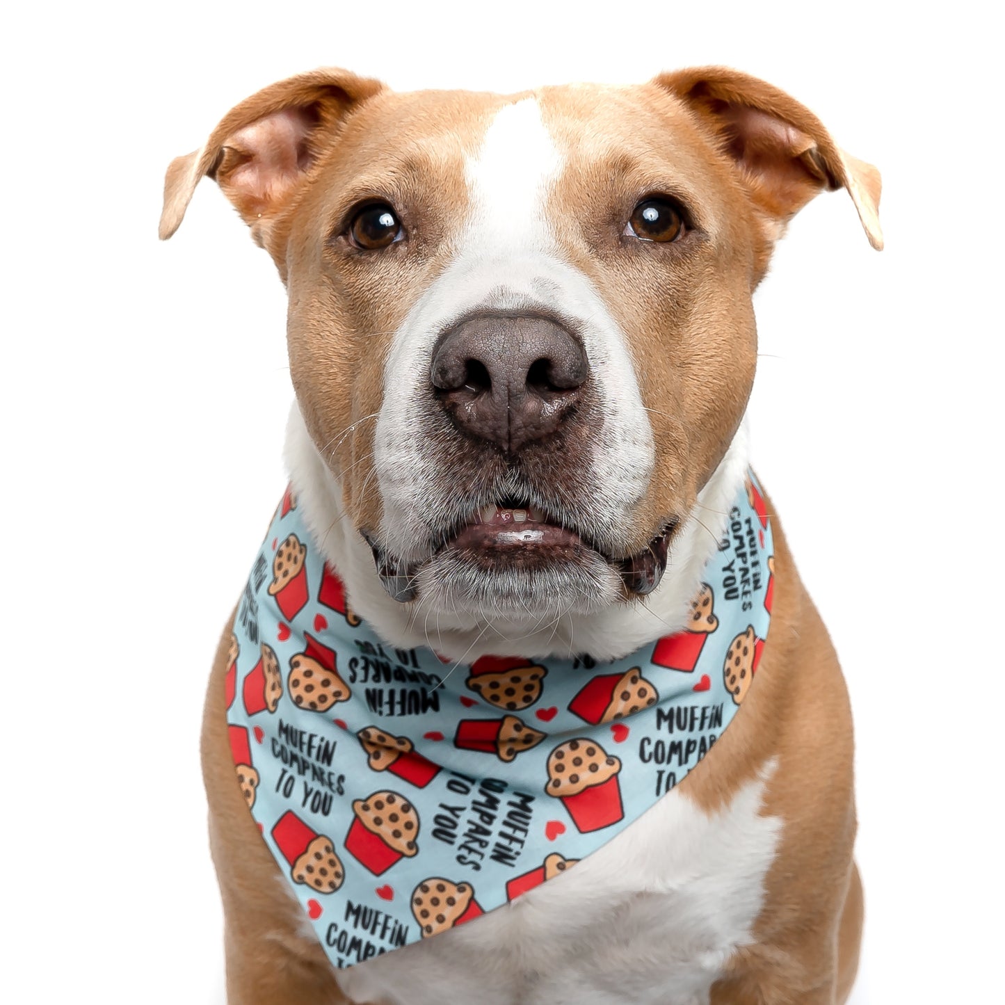 MUFFIN COMPARES TO YOU - CLASSIC DOG BANDANA BY DAPPER DEXTER