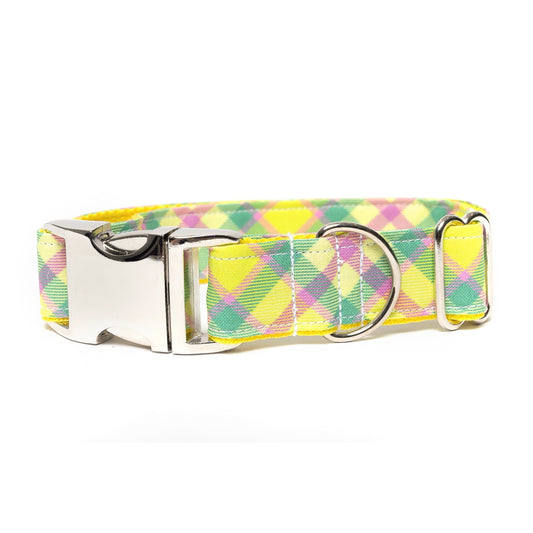 NEON PLAID - DOG COLLAR