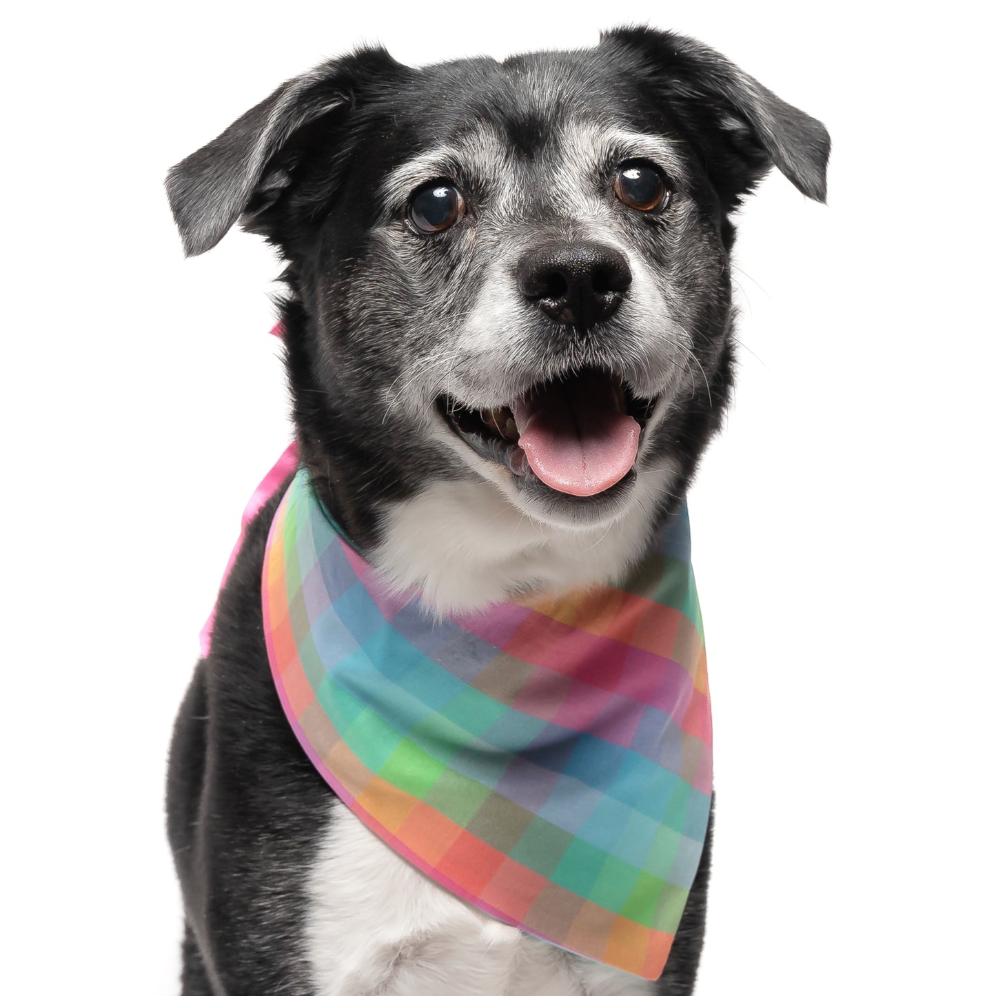 RAINBOW PLAID - CLASSIC DOG BANDANA