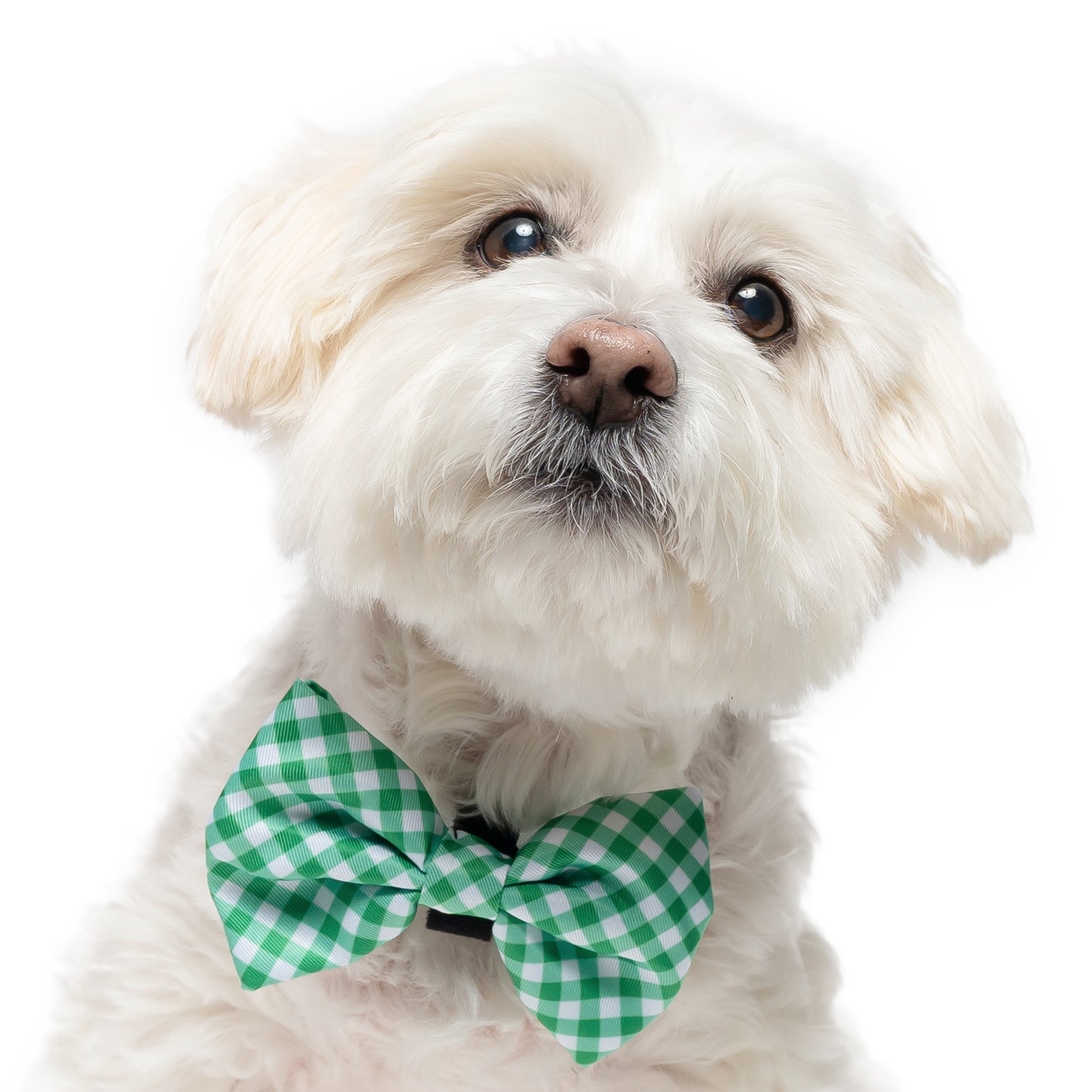 LIME GINGHAM- BOW TIE