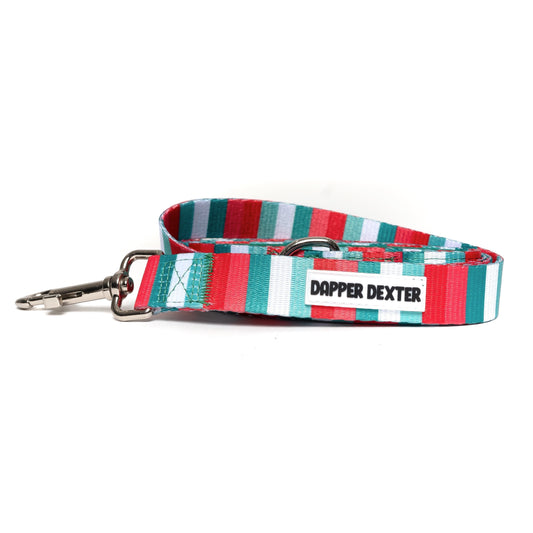 HOLIDAY STRIPES DOG LEASH