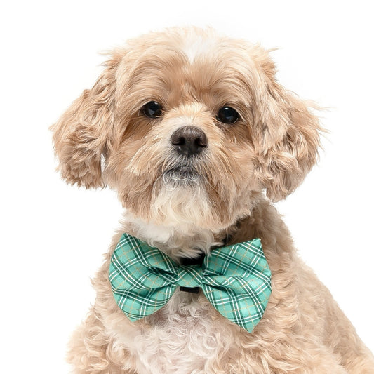 GREEN PLAID - BOW TIE