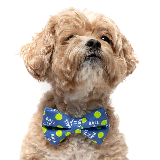 BALL IS LIFE - DOG BOW TIE BY DAPPER DEXTER