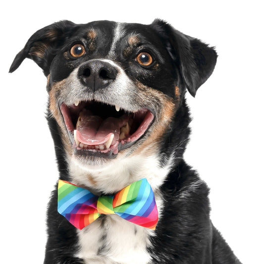 RAINBOW STRIPES - BOW TIE