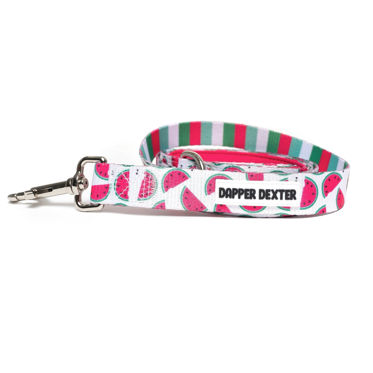 WATERMELON DOG LEASH