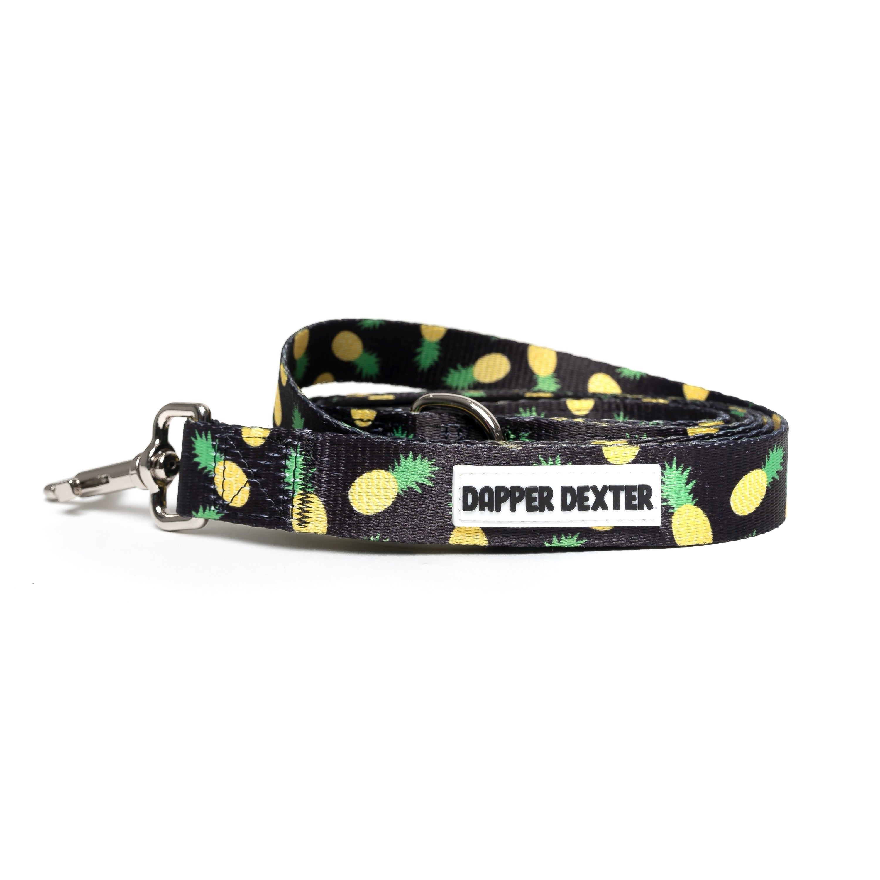 Pineapple dog outlet collar and leash