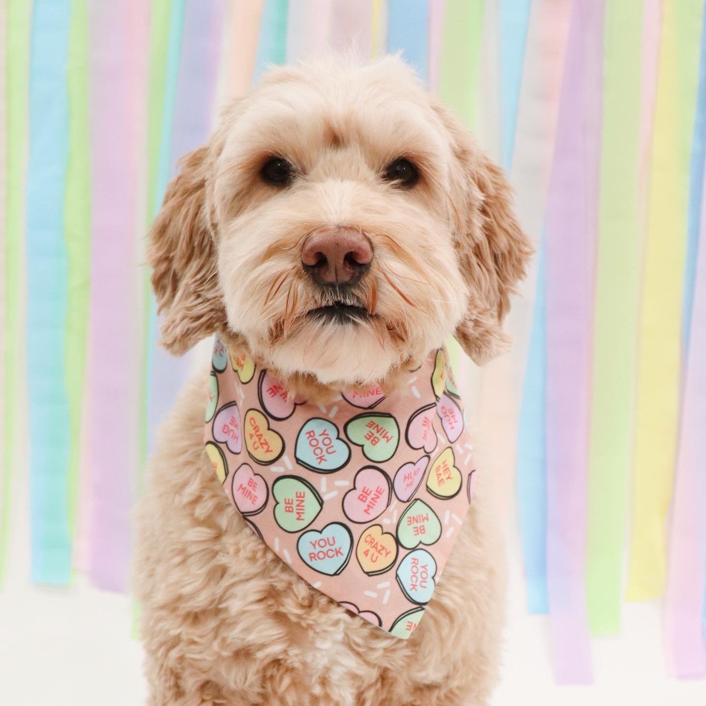 TAN CANDY HEARTS - CLASSIC DOG BANDANA