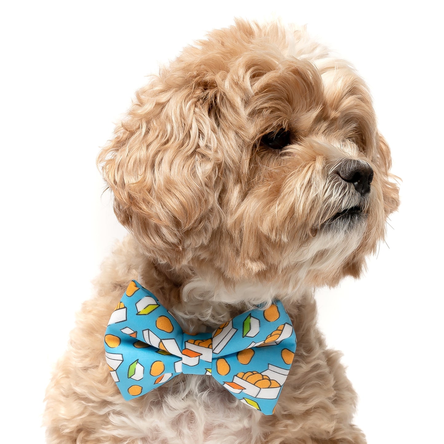 NUGGETS - DOG BOW TIE BY DAPPER DEXTER