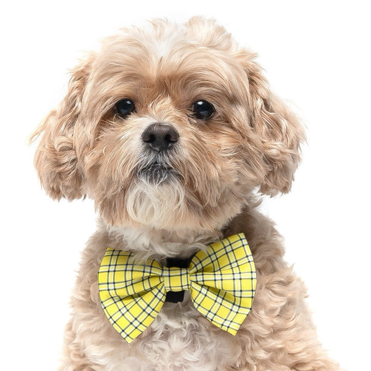 YELLOW PLAID - BOW TIE